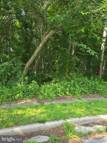 a view of a lush green space