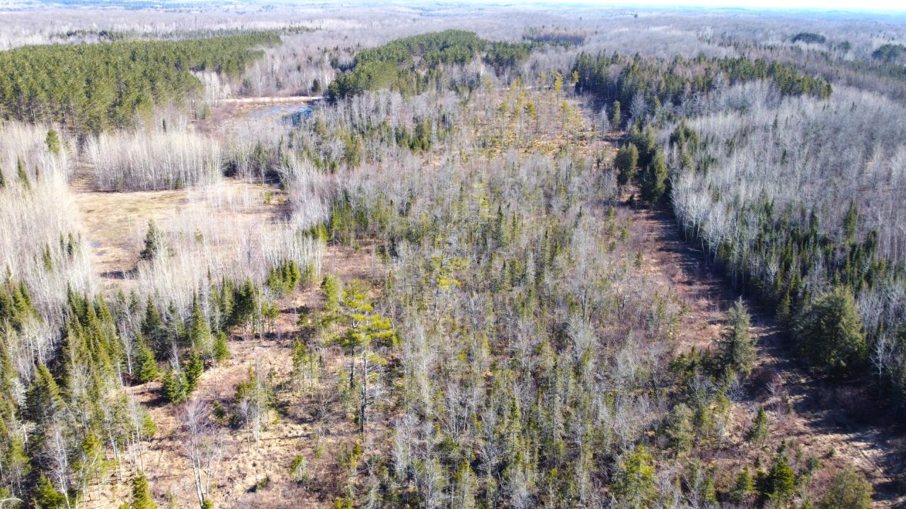 8 South Rd Crandon Wi 54520 Road Crandon, WI 54520 - Photo 34 of 38 Gallery Image 34