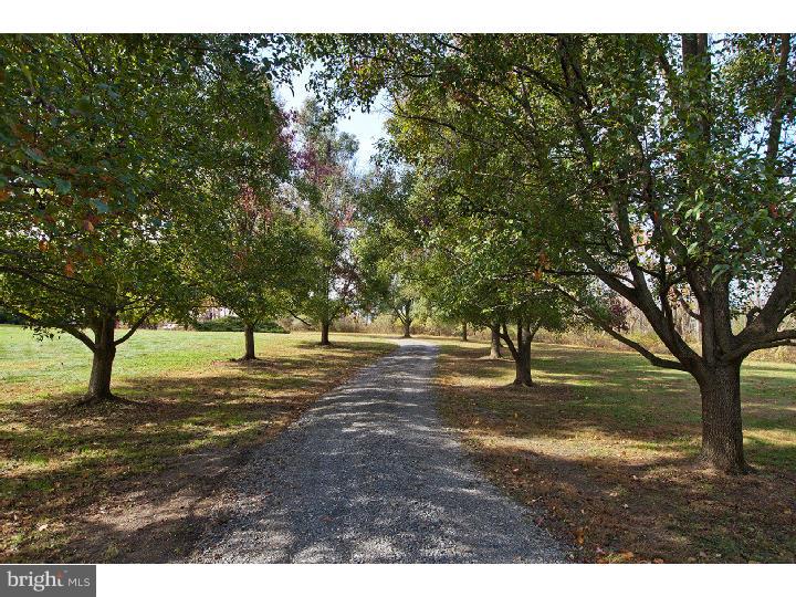 3021 Comfort Road New Hope, PA 18938 - Photo 24 of 25