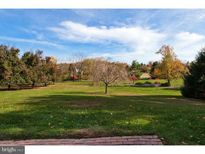 3021 Comfort Road New Hope, PA 18938 - Photo 5 of 25