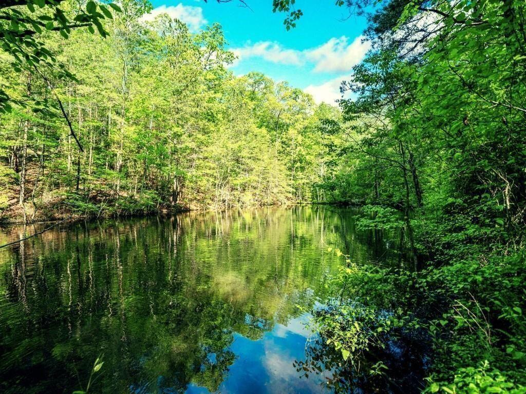 1575 Davis Road West Fairmount, GA 30139 - Photo 36 of 49 a view of lake with green space