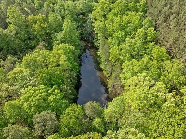 a view of a pathway both side of yard