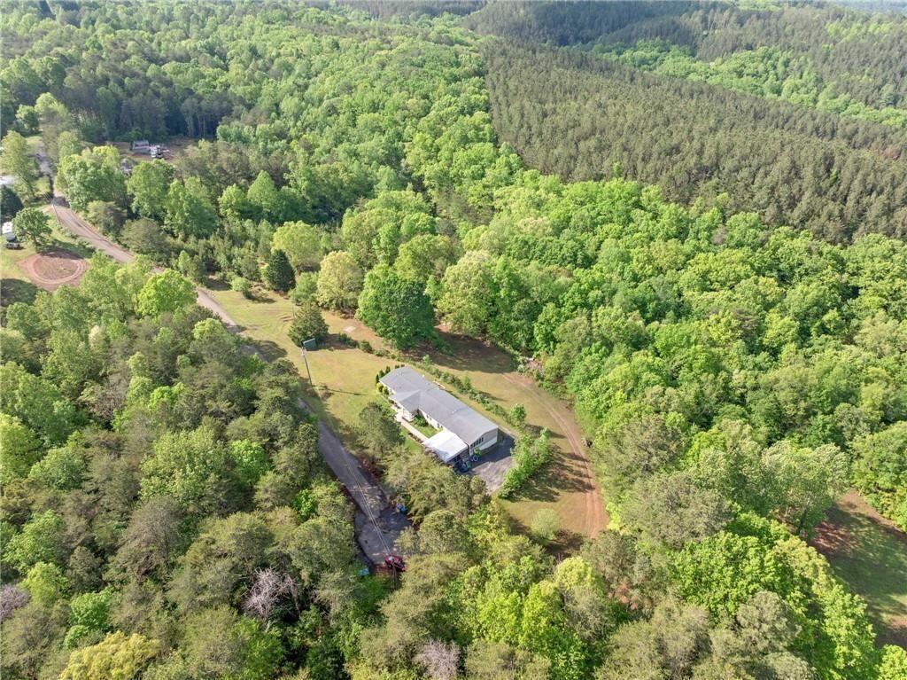 1575 Davis Road West Fairmount, GA 30139 - Photo 43 of 49 a view of a yard with plants and large trees