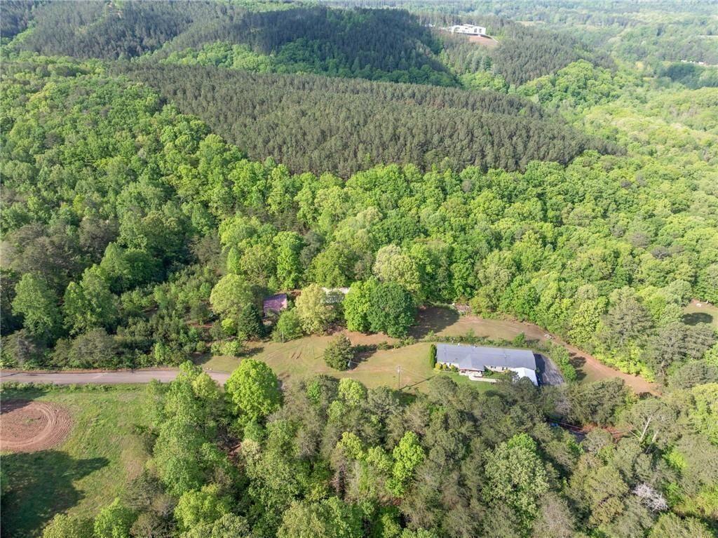 1575 Davis Road West Fairmount, GA 30139 - Photo 44 of 49 a view of a lush green forest with a lake and trees
