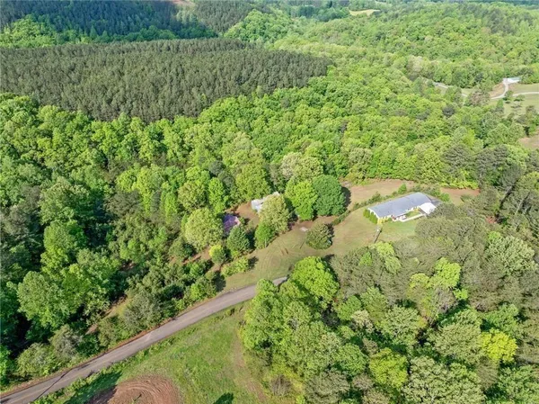 a view of a garden with a plant