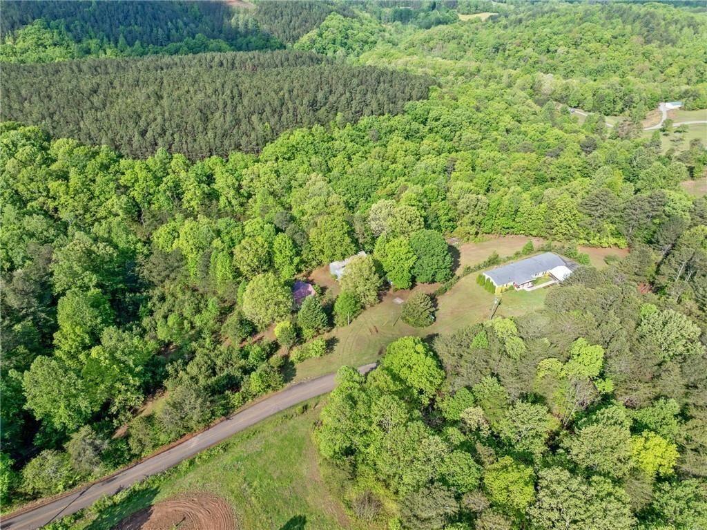 1575 Davis Road West Fairmount, GA 30139 - Photo 45 of 49 a view of a garden with a plant