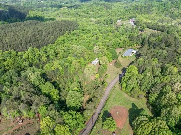 a view of a lush green forest with a park