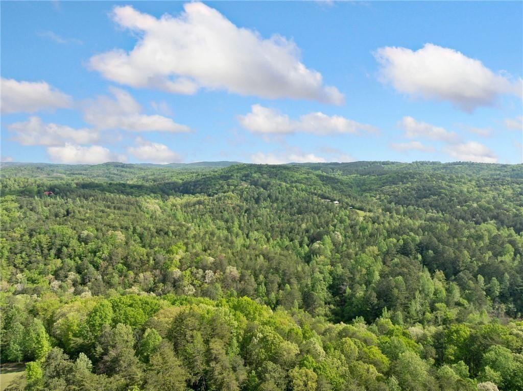 1575 Davis Road West Fairmount, GA 30139 - Photo 48 of 49 a view of a big yard with lots of green space