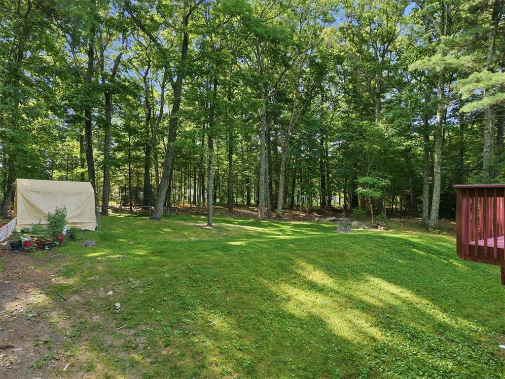 128 Chestnut Street Dingmans Ferry, PA 18328 - Photo 34 of 43 A spacious backyard with mature trees, offering privacy and a tranquil natural setting.