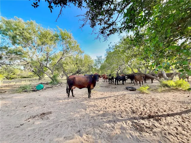 $1,756,800 | Cr Cr 119th Alice Tx 78332, Alice, TX 78332