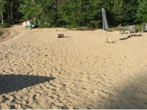 105 Leavitt Road Ossipee, NH 03814 - Photo 20 of 29 Gallery Image 20
