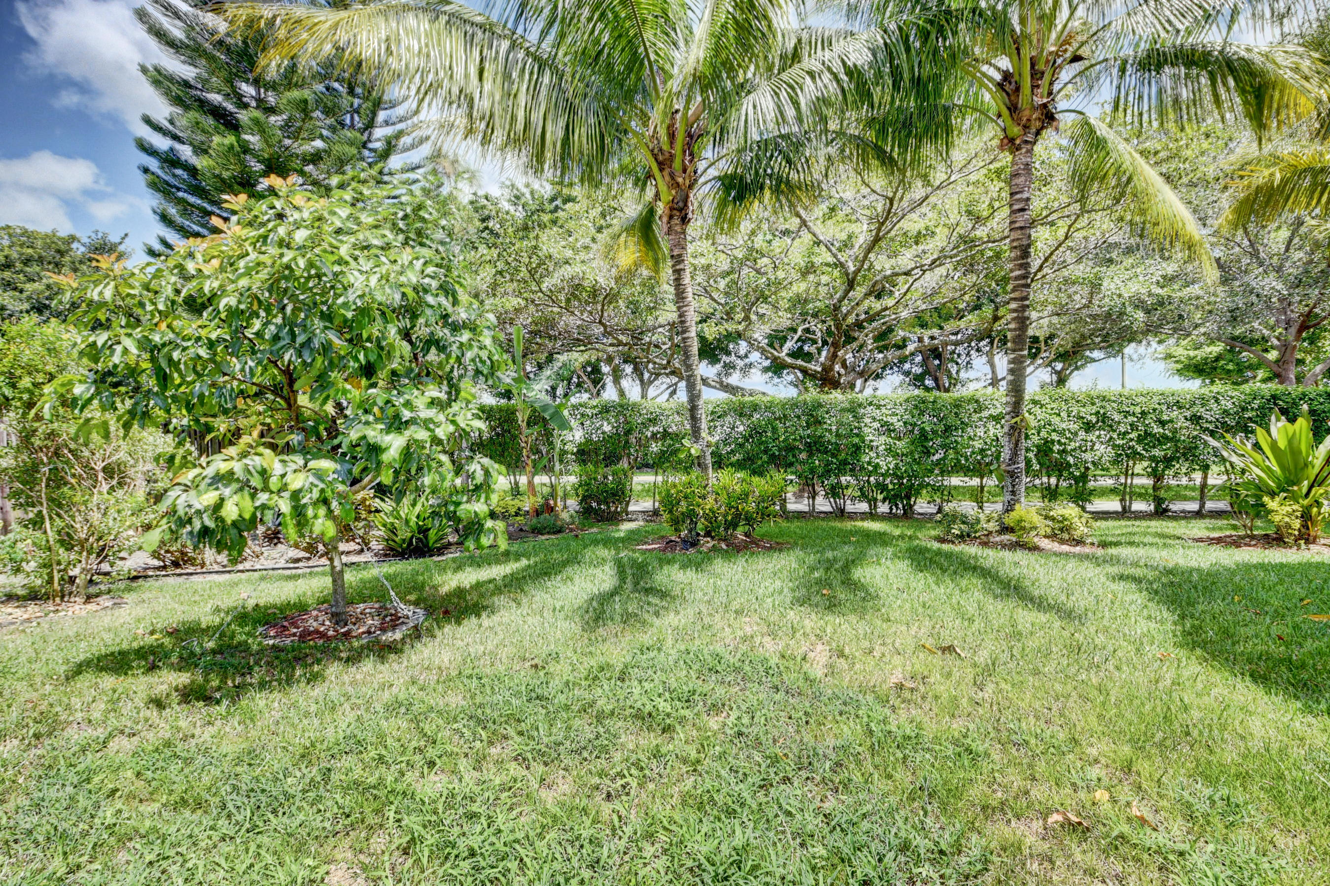 9233 Neptunes Basin Court Boca Raton, FL 33434 - Photo 23 of 31 BACK YARD FRUIT TREES