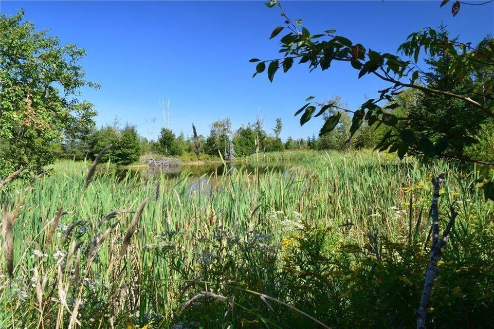 M8-l53a North Lubec Road Lubec, ME 04652 - Photo 24 of 37 24