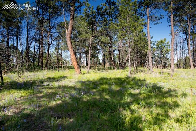 12812 Goodson Road Colorado Springs, CO 80908 - Photo 5 of 12
