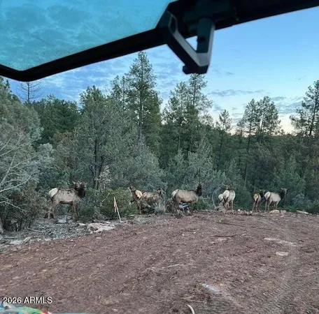 a view of a outdoor space