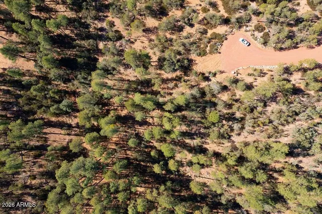 a view of a bunch of trees