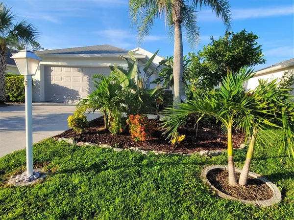 a potted plant sitting on the side of a building
