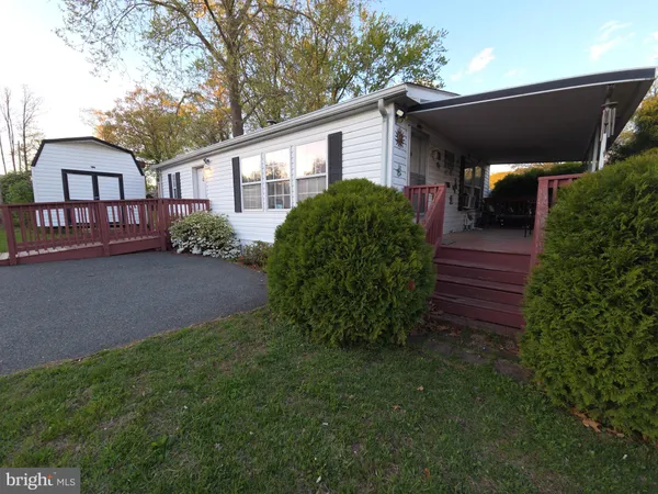 a view of a house with a yard plants and large tree