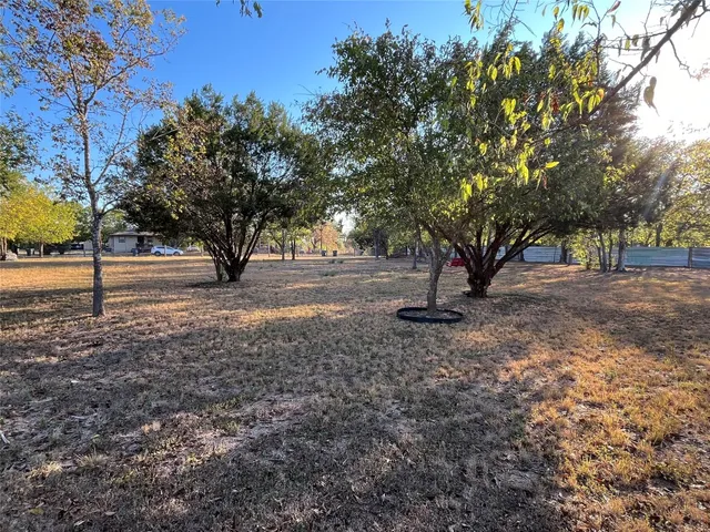 a view of empty space with tree s