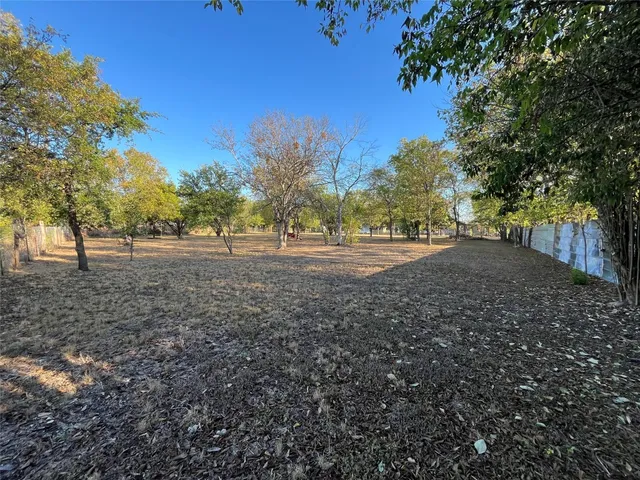 a view of dirt yard with a large tree