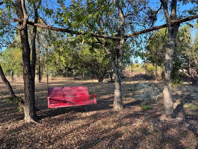 a view of a yard with large tree