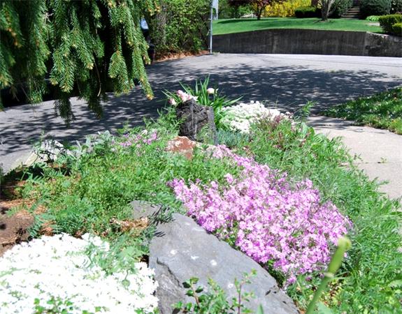 49 Dix Rd Extension Woburn, MA 01801 - Photo 19 of 19 a street view with garden
