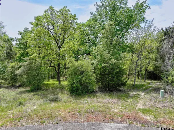 $140,000 | 8950 Timber Ridge, Larue, TX 75770