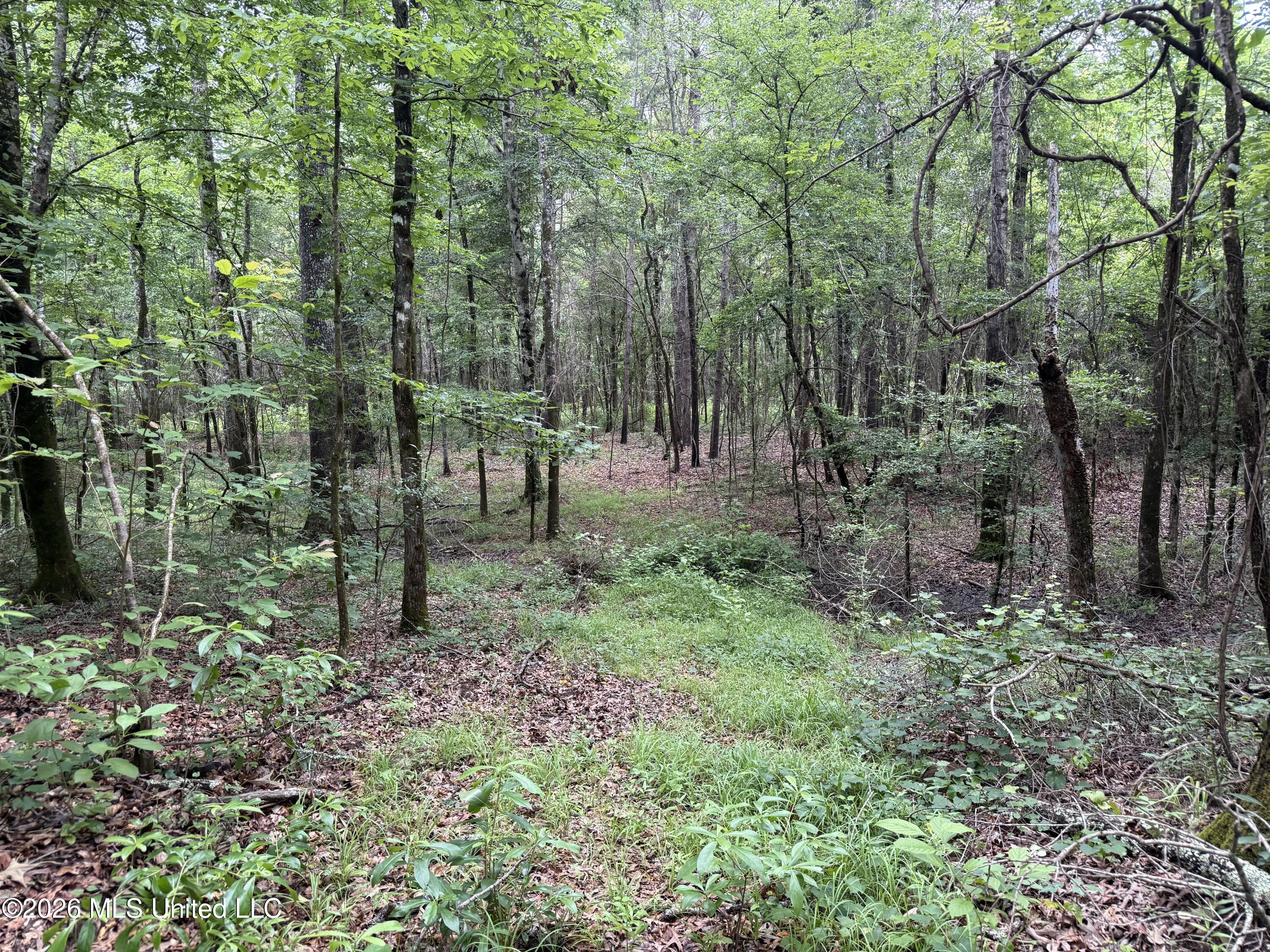 Ridge Road Terry, MS 39170 - Photo 1 of 7 IMG_4299