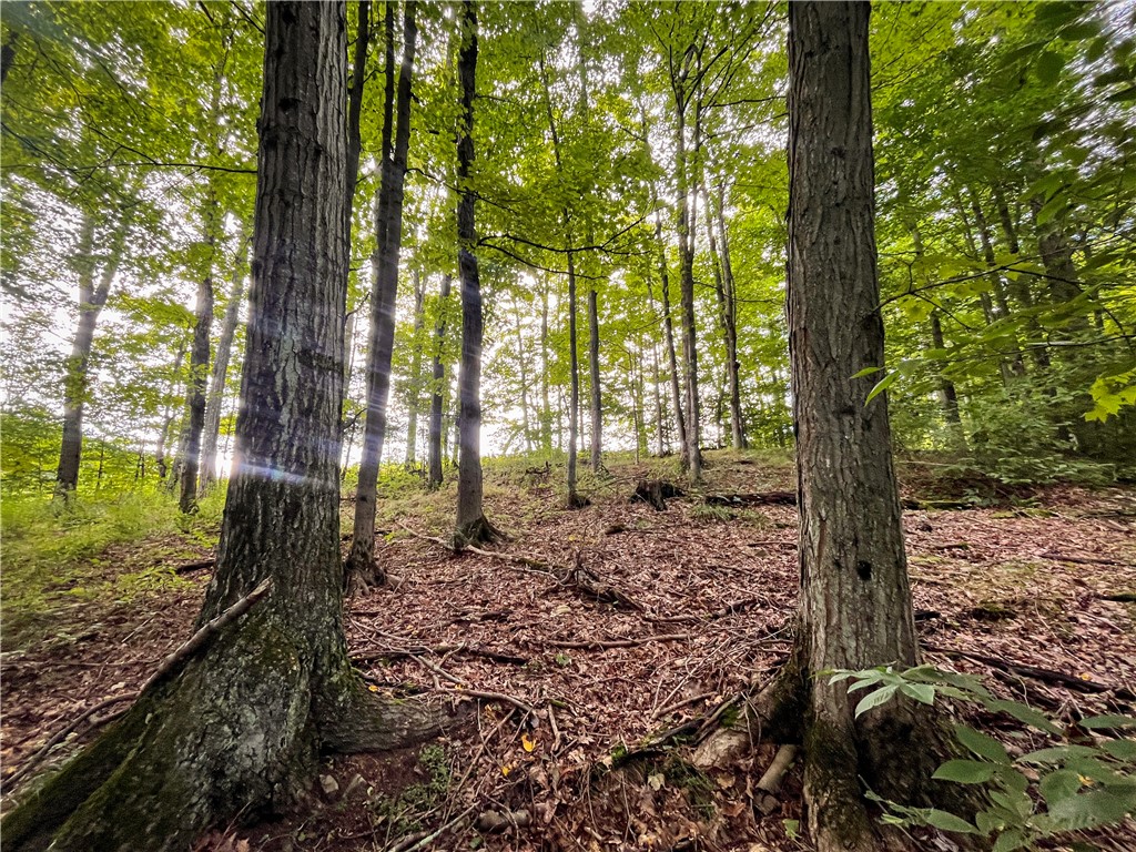 Hill Road Spencer, NY 14883 - Photo 25 of 48
