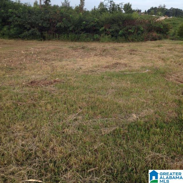 1331 13th Street, Unit 23 Pleasant Grove, AL 35127 - Photo 1 of 1