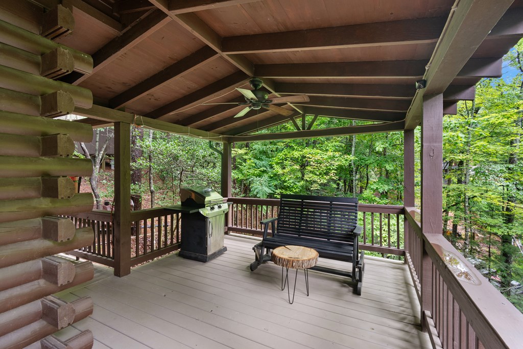 67 Tomahawk Trail Blue Ridge, GA 30513 - Photo 6 of 32 a view of porch with furniture and trees