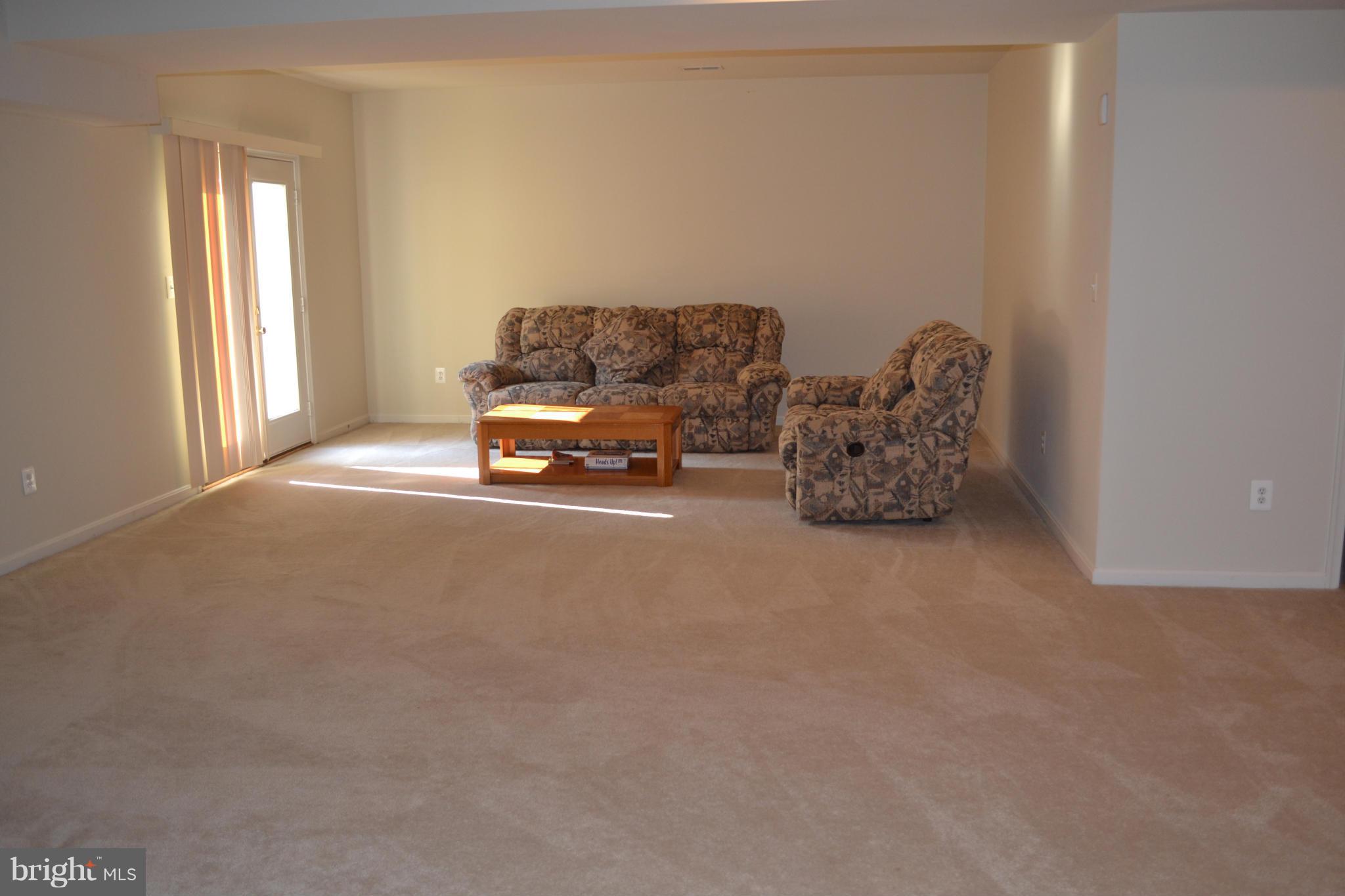 9005 Roaring Spring Loop Bristow, VA 20136 - Photo 18 of 22 Basement