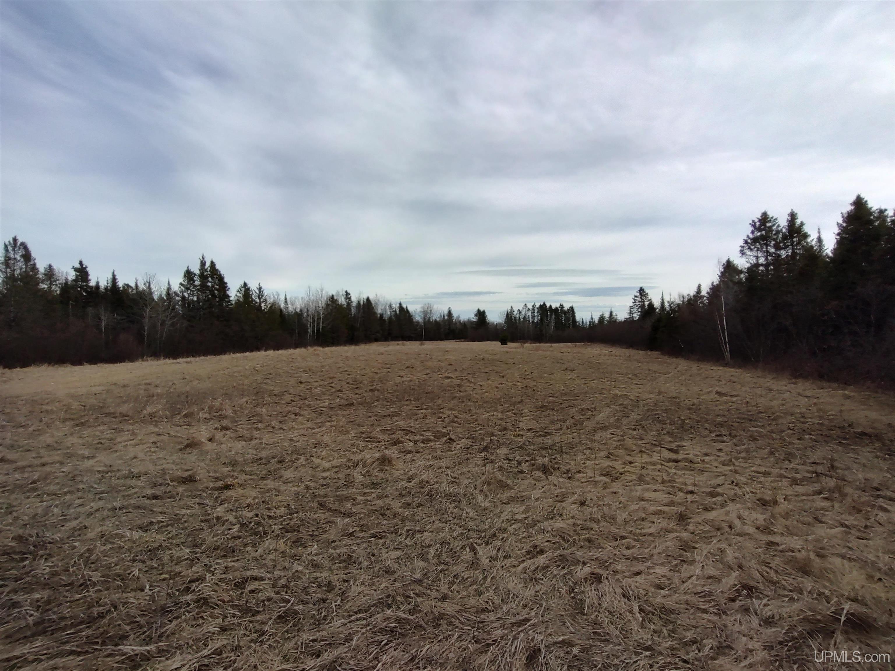 40-acres Trombley 35th Road Rock, MI 49880 - Photo 32 of 62