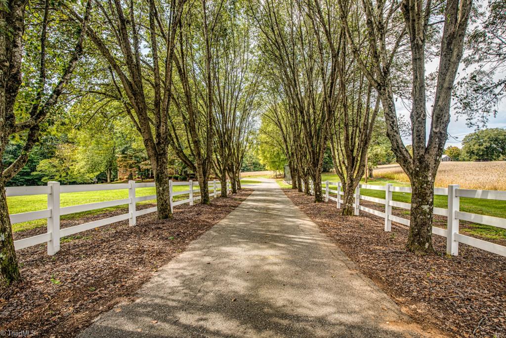 3670 Community Church Road Pfafftown, NC 27040 - Photo 2 of 50 Gallery Image 2