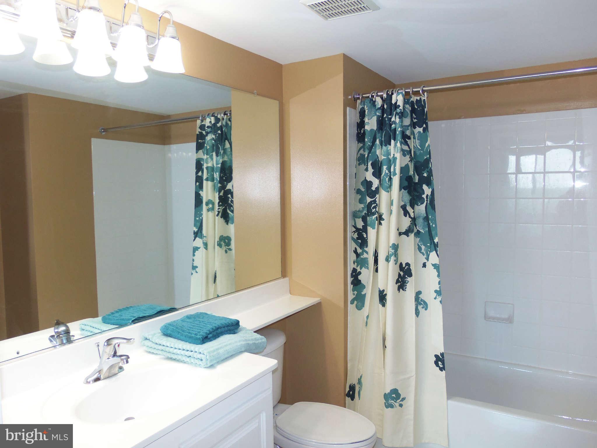 11710 Old Georgetown Road, Unit 1312 North Bethesda, MD 20852 - Photo 11 of 27 Bath Master