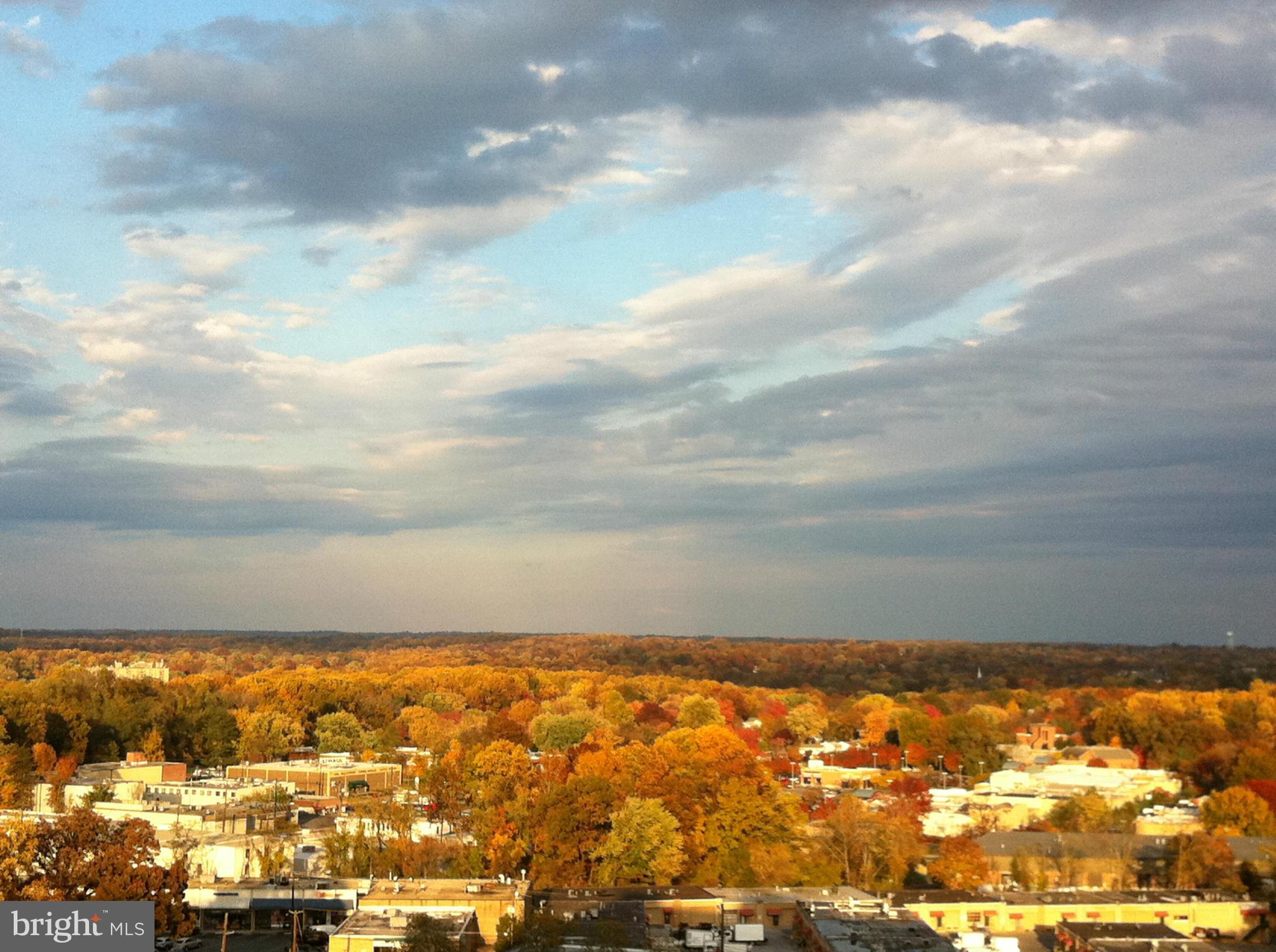 11710 Old Georgetown Road, Unit 1312 North Bethesda, MD 20852 - Photo 19 of 27 Stunning View
