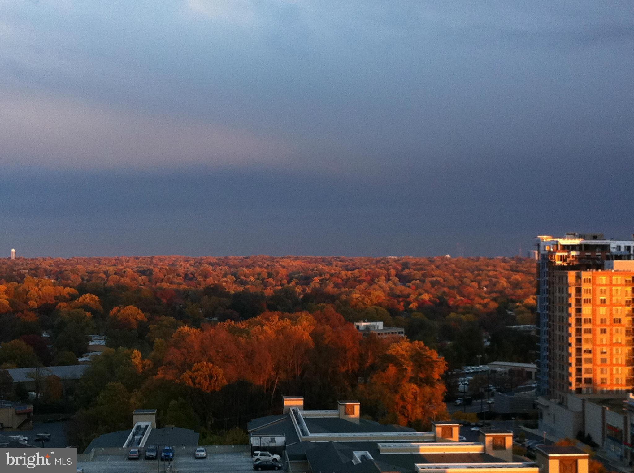 11710 Old Georgetown Road, Unit 1312 North Bethesda, MD 20852 - Photo 20 of 27 Stunning View