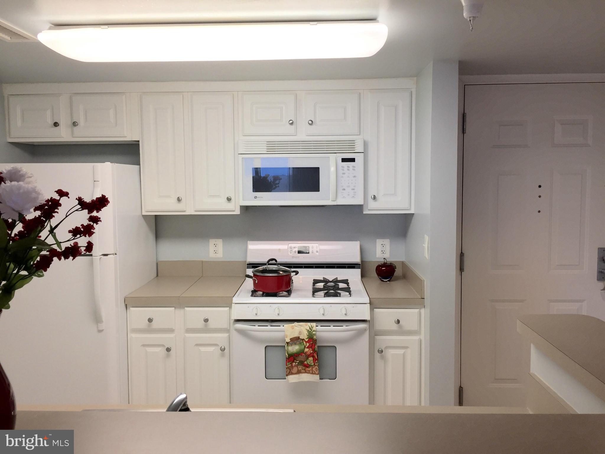 11710 Old Georgetown Road, Unit 1312 North Bethesda, MD 20852 - Photo 8 of 27 Kitchen