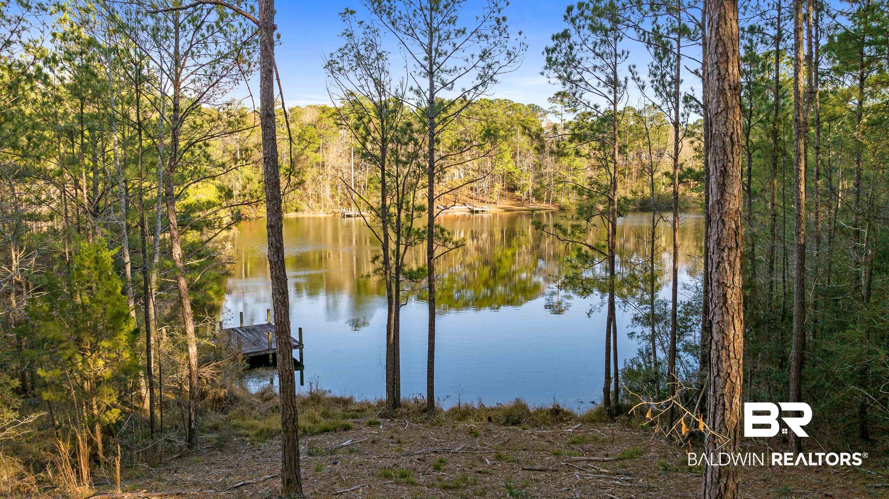 31690 Rhett Drive Spanish Fort, AL 36527 - Photo 52 of 61 Gallery Image 52