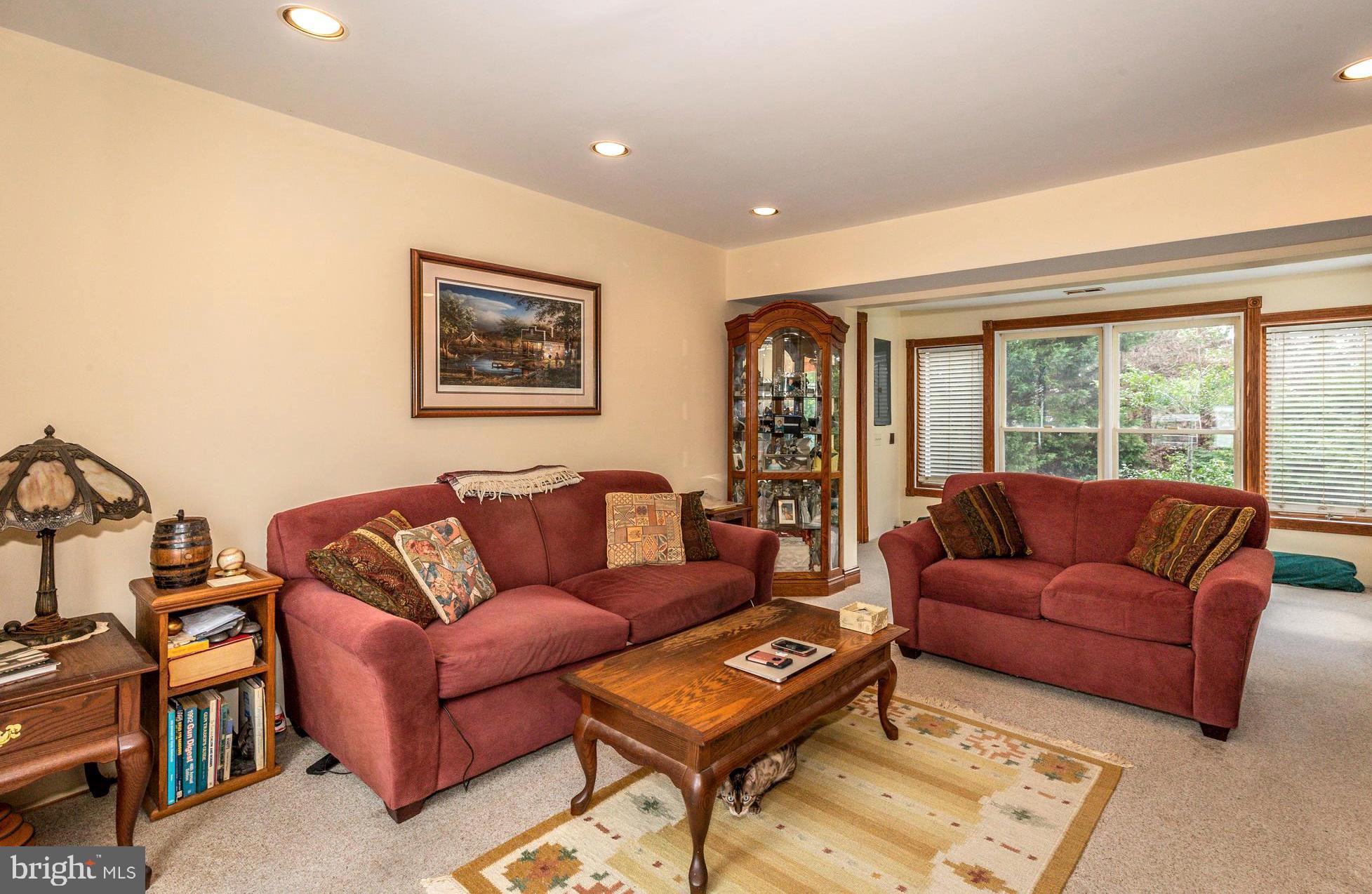 1313 Mayo Road Edgewater, MD 21037 - Photo 14 of 42 Living Room with Neutral Carpet/ Recessed Lighting