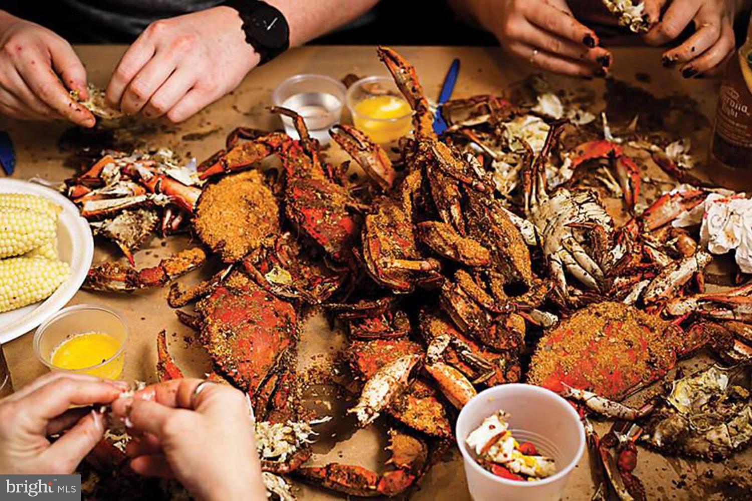 1313 Mayo Road Edgewater, MD 21037 - Photo 39 of 42 Crack Crabs at Daily Catch Seafood Houses!