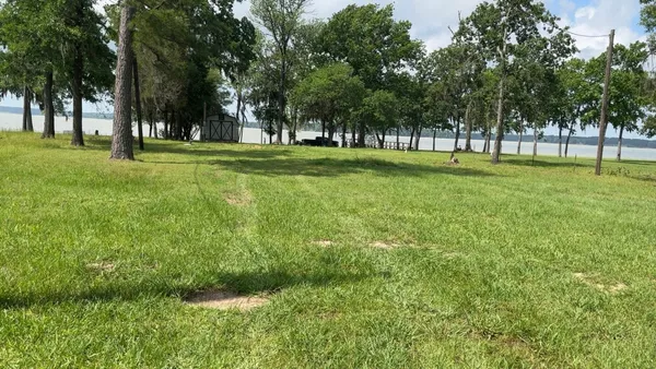 a view of grassy field with benches and trees all around