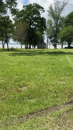 a view of a park with trees and grass