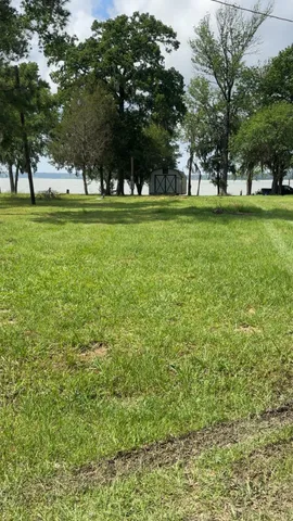 a view of a park with trees and grass