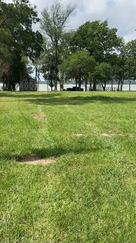 a view of a park with trees and grass