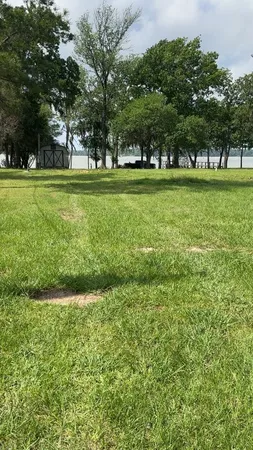 a view of a park with trees and grass