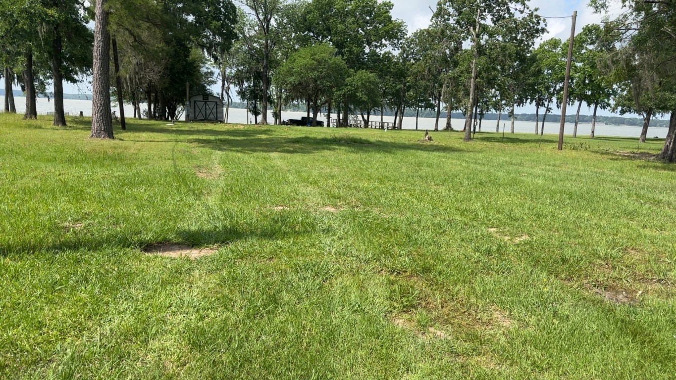 207 Creek Road Trinity, TX 75862 - Photo 5 of 11