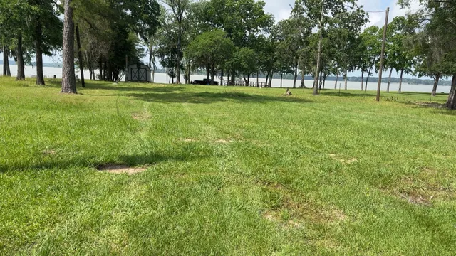 a big yard with lots of green space and trees