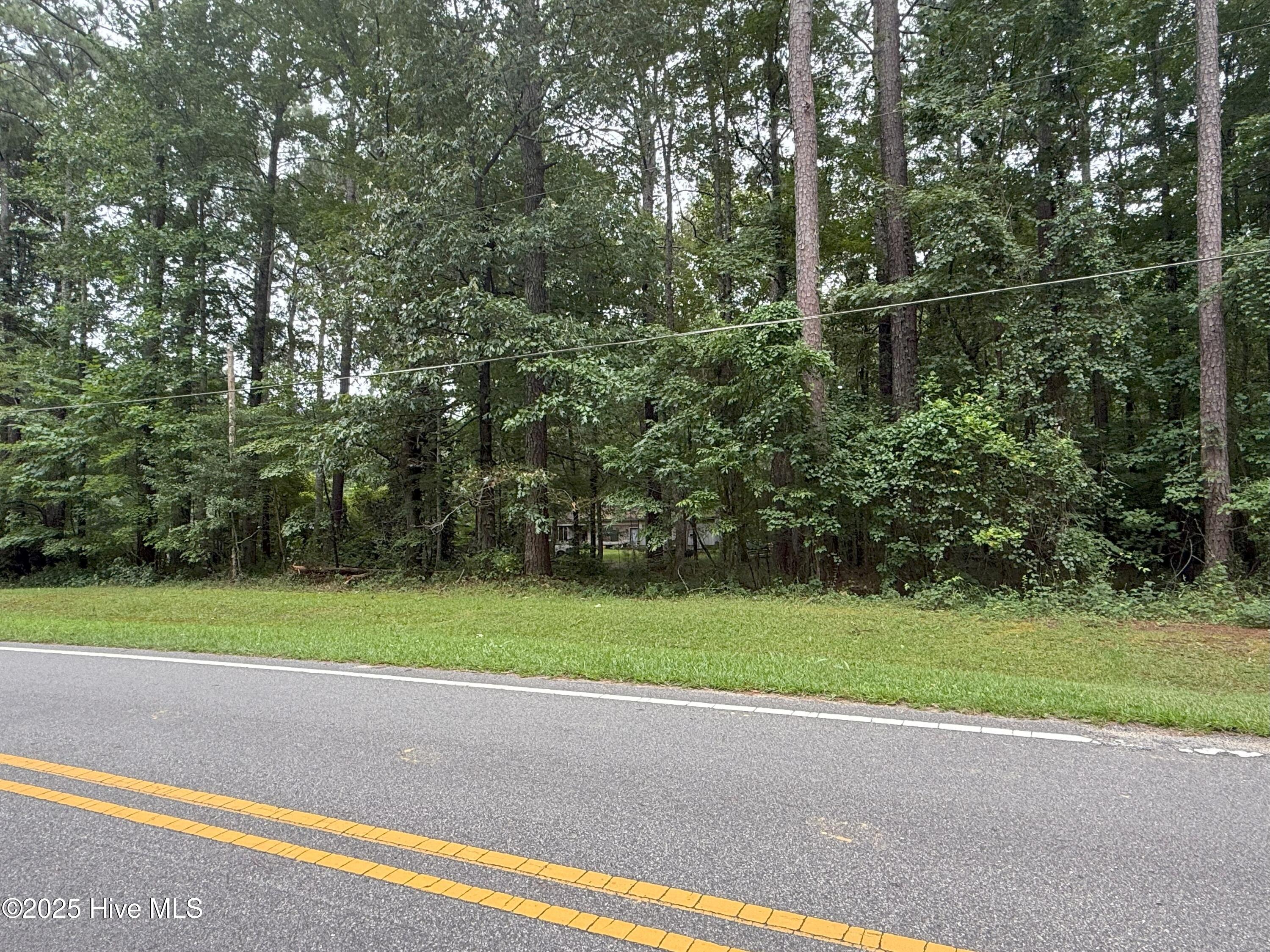 Lot #5 Roxie Reese Road Plymouth, NC 27962 - Photo 3 of 9 2.92 acre parcel