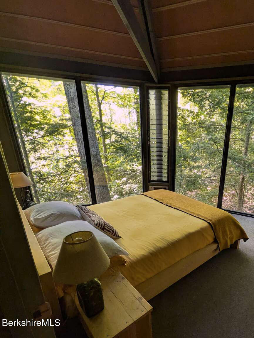210 Mt Washington Road Egremont, MA 01230 - Photo 8 of 18 Borenzweig.8